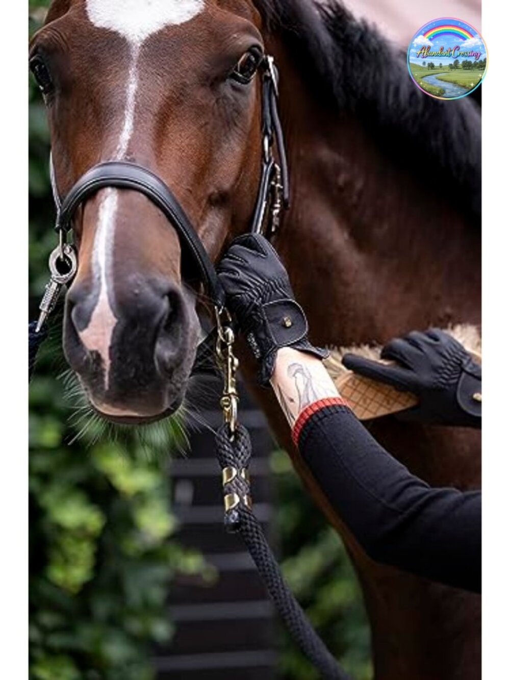 Equestrian Riding Gloves for Professional Riders - Picture 5 of 6